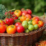 Basket of fresh, local fruits and vegetables.